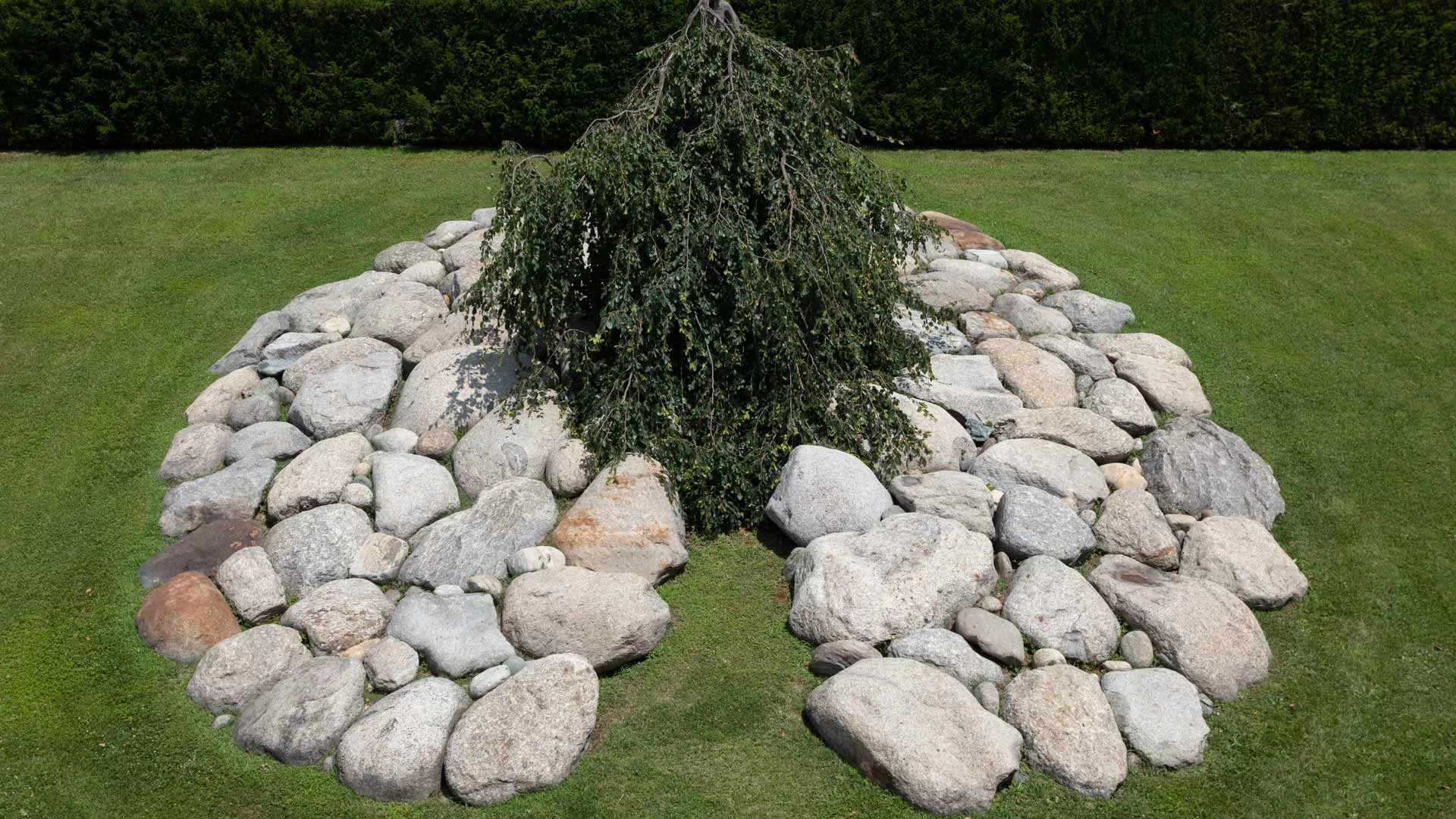 Giardino delle Sculture Fluide, Giuseppe Penone, Cervello di pietra. Foto Lea Anouchinsky